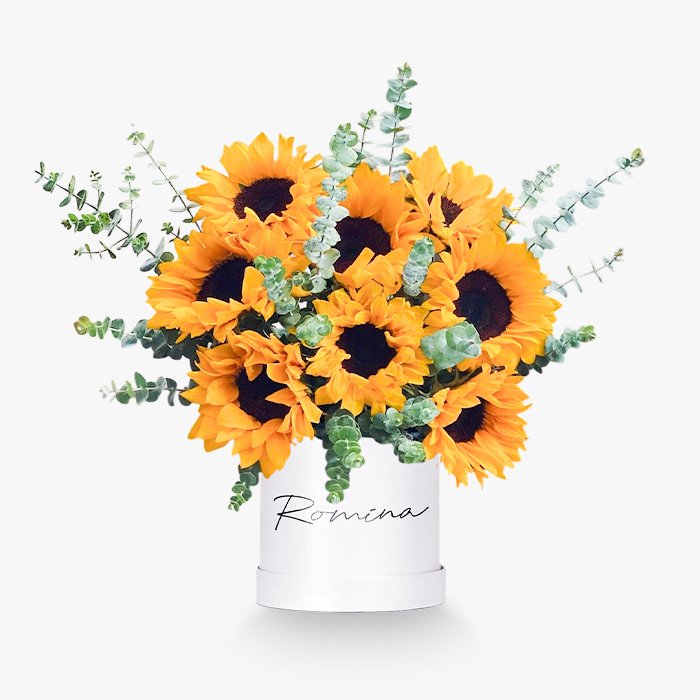 Box con 10 Girasoles